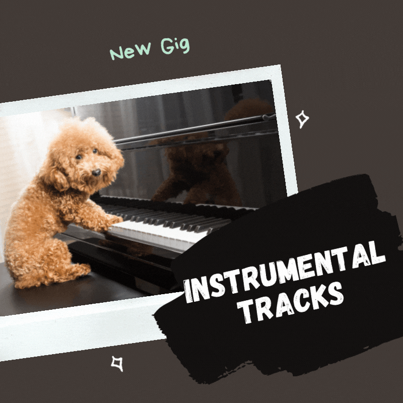 Instrumental track option